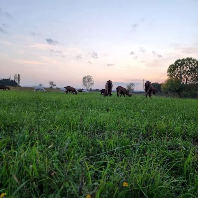 Holiday home Agriturismo - La Capra Amaltea Cortona Italy