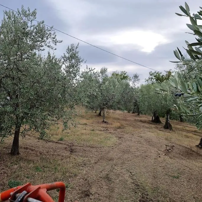 Agriturismo - La Capra Amaltea Cortona